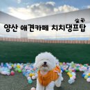 치치댕프탑 이미지
