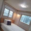 푸조와곰솔 | 거제도펜션 푸조와곰솔 곰솔동 204호 애견동반 후기