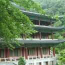 구인사(식당3) - 36670 | 구인사(식당3)