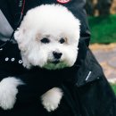 스토리 멍 이미지