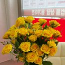 흥부익스프레스 네이버블로그