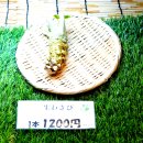 대왕농장 이미지