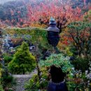 바보펜션 이미지