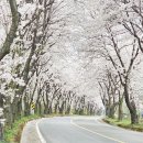 자굴산순환도로 이미지