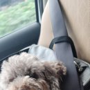 더달달한집 이미지