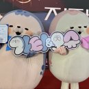 오슈