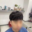 논현가발 시스템엘르 강남본점 후기