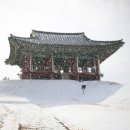 &#39;전남 해피스냅 반려견 강아지사진 촬영하고 온 후기&#39;