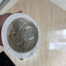 부산세탁 | 부산 강서구 금정구 남구 연제구 동래구 소파 청소 후기