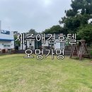 오멍가멍 애견카페&호텔 이미지
