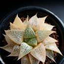 호반농장 이미지