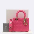 디올 카카오 검색결과