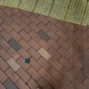 복수짜글이 이미지