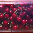 초이농장 이미지