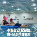 팀식스아쿠아키즈 이미지