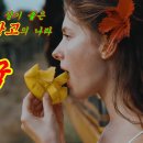 망고나라