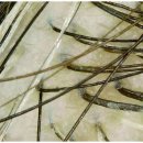 병점역 뒤 이미지