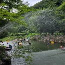 남창감나무집 이미지