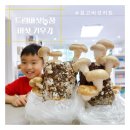 잘크는농장 이미지