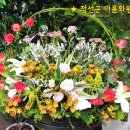 고한사북꽃집