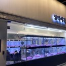 삼덕애견 이미지