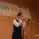 신바람 하모니카 이미지