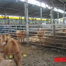 몽길농장 이미지