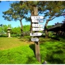 서일식당 이미지