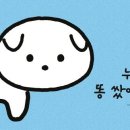 <쩌저적> 이서우 작가와의 만남 이미지