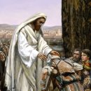 2026년 6월 26일 금요일 (녹) 연중 제12주간 금요일 (복음: 마태 8,1-4: 한센병 환자의 치유) 이미지