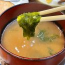 수원-0056 | 오사카 일본 가정식 아침 추천 혼마치 맛집 야오야토 고항 무카이