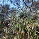 으뜸 공중화장실 이미지