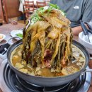 왕우목장 이미지