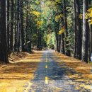 형곡초교 이미지