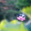 6790, 천망을 벗어나서.. 이미지