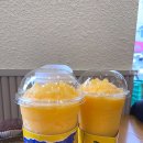 커피톡톡 | 메가커피 귤톡톡 젤리스무디 후기