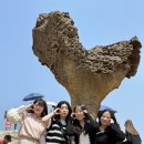 김가네우정 이미지