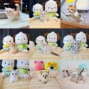 펫퍼스트 24시 강아지분양 고양이분양 | 펫퍼스트 24시 강아지분양 고양이분양 인천본점 소개 인천 강아지분양