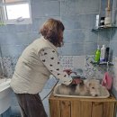 댕이멍이 이미지