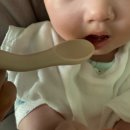 옐로우스푼 - 34028 | [이유식 스푼 추천] 순수아 실리콘 이유식스푼 사용후기