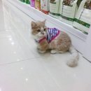 폴리파크 반송점 이미지