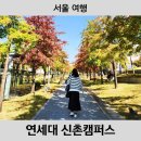 서울대학교 생활협동조합_919동 1층 | [서울 여행] 연세대 신촌캠퍼스 가을 단풍 구경 서울 사진 찍기 좋은 곳