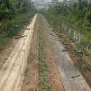 청학농장 이미지