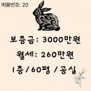 세움부동산중개법인주식회사 이미지