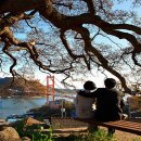 BBC 당구장 이미지