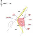 아산시 송악면 동화리 송악저수지 호수변 전원주택 ( 경량철골조, 슁글지붕)_대지 192평 건평 31평 이미지