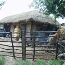 추억이머무르는곳 이미지