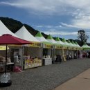 고인돌 김밥 | 광주근교 가볼만한곳 화순고인돌축제 일정 체험 공연 주차정보