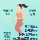 N점핑다이어트 클럽