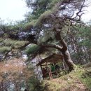 가나안민박 이미지